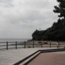 군학샤워 Daum카페