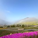 상주면 두모(재활용 동네마당) | [경상남도 남해군] 두모마을야영장