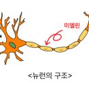 김미현수학학원 네이버블로그