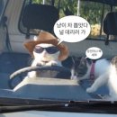 현대차구매후기 1편- 순천여수광양 차 렌트해보기