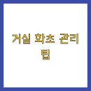 식물부자