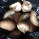 시흥표고(주)