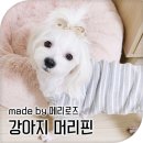 어여쁘개 이미지