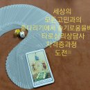 소통과 공감의 타로 심리(기본) 네이버블로그