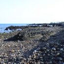 내도알작지 이미지