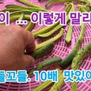 한식 30년이상 맛집 할머니가 알려주신, '오이 장아찌' 황금 레시피 이미지