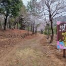 백운산자연휴양림 이미지