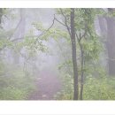 마지기로 이미지