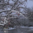 겨울아침창가에서 이미지