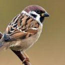 시화계룡2차아파트 이미지