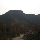 연리지 - 군포시 당정역로4번길 11 | 연리지