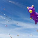 오늘은좋은날 이미지