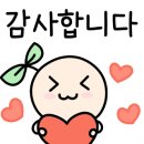 달빛과일 공도점 이미지