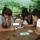 밤나무축산 이미지