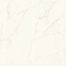 콩코드(Concord) 이미지