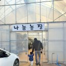 조동농장 | 파주 나눔농장 동물 먹이주기 체험 20개월 아기랑 후기