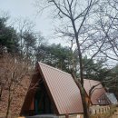 [2月 숲나들e-2] 경북 칠곡 송정자연휴양림 은행나무 숙박 후기