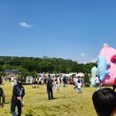 2025 서울국제정원박람회 보라매공원 방문 후기