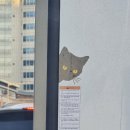 경기도 수원시 팔달구 경수대로479번길 19 (인계동) | ㅅ샤갈의 눈 내리는 마을