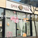 HUNTER DOG 동남지구점 | [천안] 천안 신방동 애견미용 &#39;위풍댕댕&#39;, 위생미용 후기