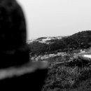 사하구-05 이미지