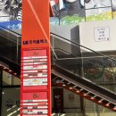 트리플렉스 | 청주 지웰시티 미용실 장띨 지웰점 레이어드 슬릭컷 뿌리매직 클리닉 후기