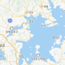 함안 영동리 회화나무 이미지