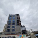 빨간모자달팽이 이미지