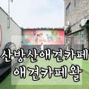 제주애견카페왈 사계점 이미지