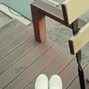 차니콩