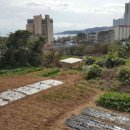 신명보건진료소 이미지