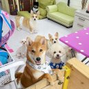 학교종이 댕댕댕 이미지