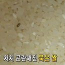 떡사랑떡집 - 광산구 왕버들로251번길 27 | 떡사랑떡집