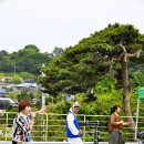 강경효사랑요양병원 이미지