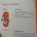 인티제(intj) 겁쟁이 초산모 출산 산부인과 선택 전주 세나 산부인과 제왕절개 후기