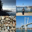 밧개회수산 | 태안 밧개해수욕장 1박 2일 겨울 해루질 여행
