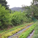 오성목장 1 이미지