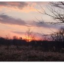 오렌지성형외과의원 이미지