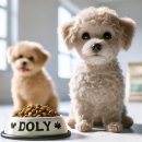 업&도그 2호점 | 첨가물 걱정 없는 강아지 사료 선택 비법