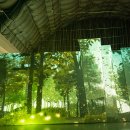 라파우자 이미지