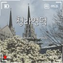 이마트24청라언덕점 | [대구] 알새우칩팡팡, 청라언덕 목련 개화상황