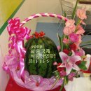 일산망개떡