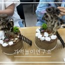 함현 상생종합사회복지관 | 인기 수업, 야채를 재료로 하는 <야채로 원예> 느타리마을, 함현상생종합사회복지관 2회기 운영(6/24)
