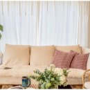 제주달로와 이미지