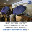 자유유치원 이미지
