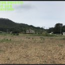 의항리보건진료소 이미지