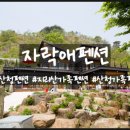 지리산다래랑민박 | 아름다운 자연과 함께하는 산청펜션_자락애펜션