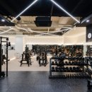 피트니스 비긴즈(Fitness Begins) 이미지