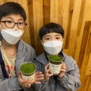 미추홀종합사회복지관 이미지