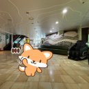 대하가족건강랜드 이미지